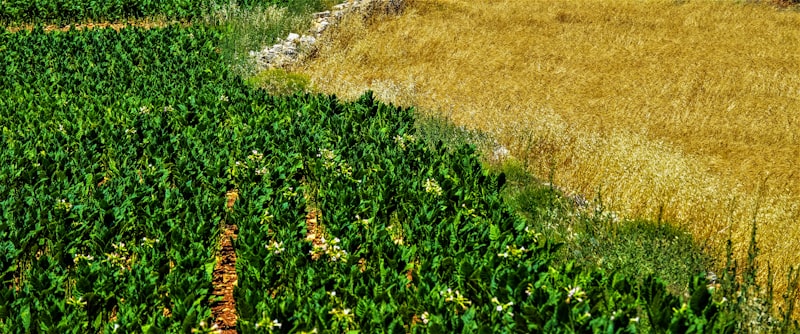 Recursos Naturais, Agronegócio e Logística